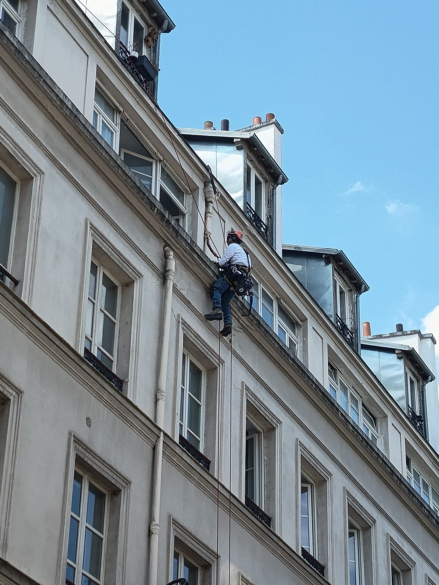 Cordiste en rappel le long d'une façade d'immeuble.