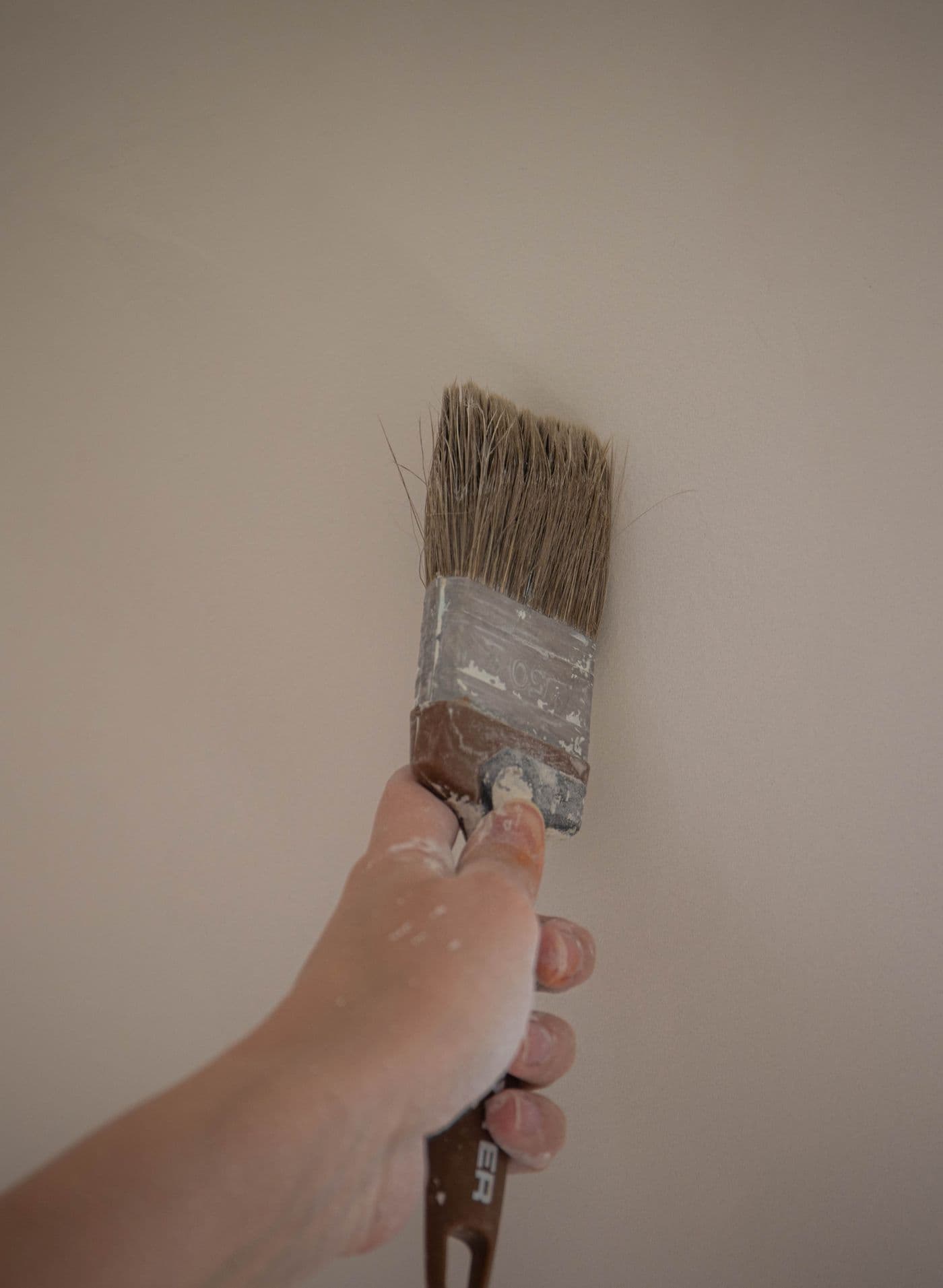 Main tenant un pinceau à rechampir contre un mur enduit aux tons beiges chauds, en cours de mise en peinture.